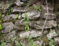 Imagen Sitio Arqueólogico Nueva Zaru